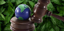 Modeling Climate Change: International Environmental Law